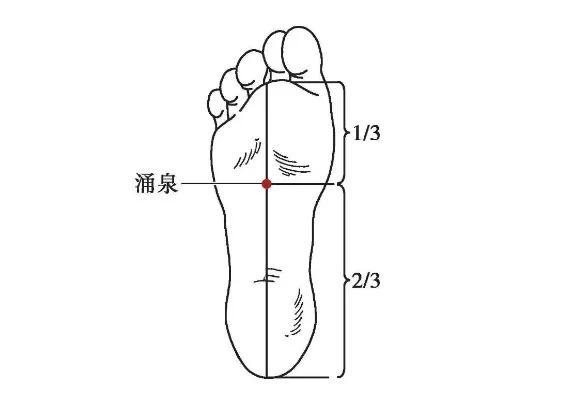 涌泉穴准确位置图解与详解