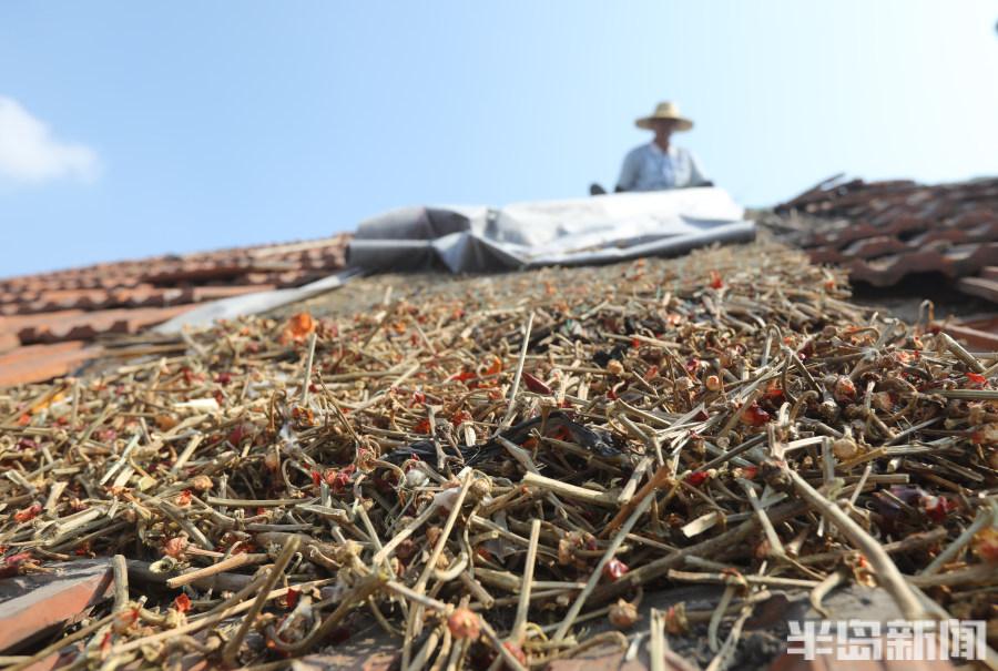 瓦D网络梗的起源与历史背景探究