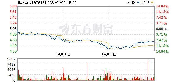 国网英大股票投资潜力与市场前景深度解析