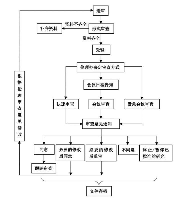 伦理审查发展历程，从起源到现代的演进之路（XXXX年至今）