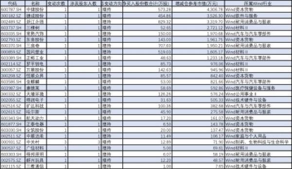 中储股份业务多元化与发展战略概览