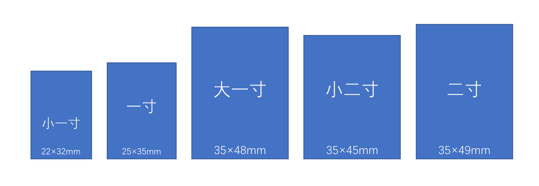 2024年12月16日 第25页