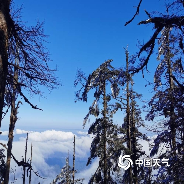 瓦屋山天气预报，探索自然之美，预知天气变化之旅