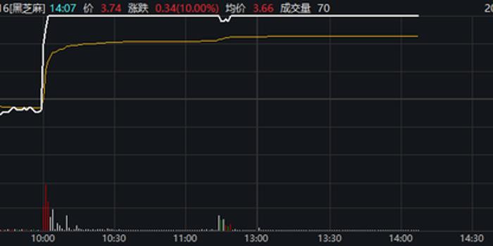 黑芝麻股票动态深度解析，背后的故事与影响因素揭秘