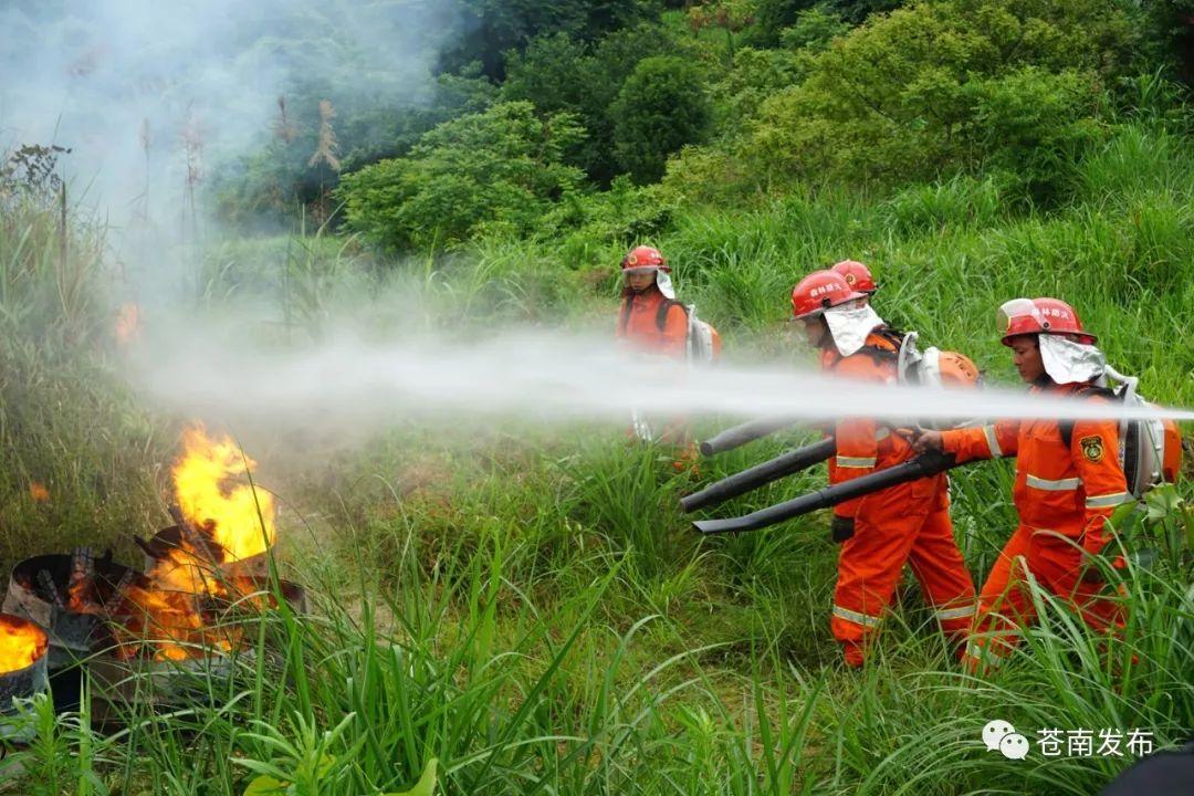 苍南气象网权威发布，气象信息与公众生活的紧密关联