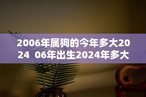 属狗的年龄解析与命运展望，今年多大？未来如何？