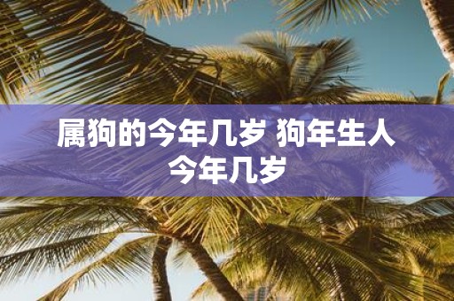 揭秘生肖狗的年龄之谜，今年属狗的多少岁？