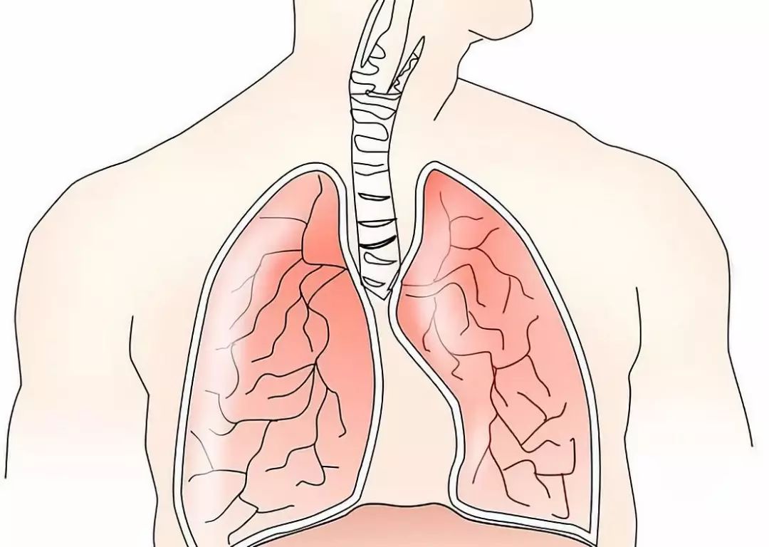 不吸烟女性肺癌发病率背后的真相及预防策略探究