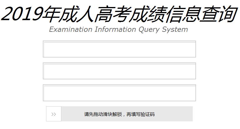 成人高考查成绩官网全面解析指南