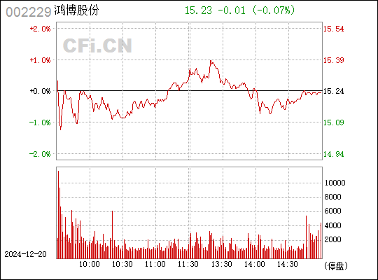 鸿博股份引领行业变革，铸就辉煌企业地位