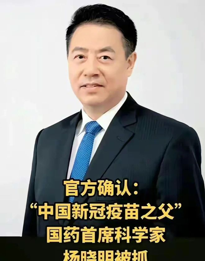 杨晓明与科兴疫苗事件，真相揭秘的焦点热议