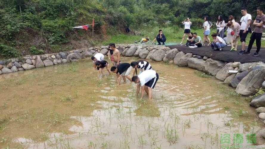 男女间摸鱼行为的含义与影响探讨