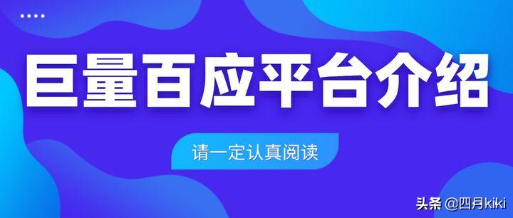 巨量百应全方位解析，功能与作用探索