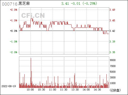 黑芝麻股票资金流向全面剖析