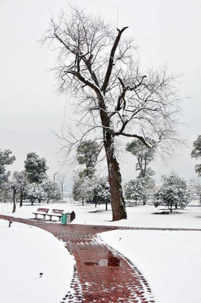 长沙瑞雪纷飞