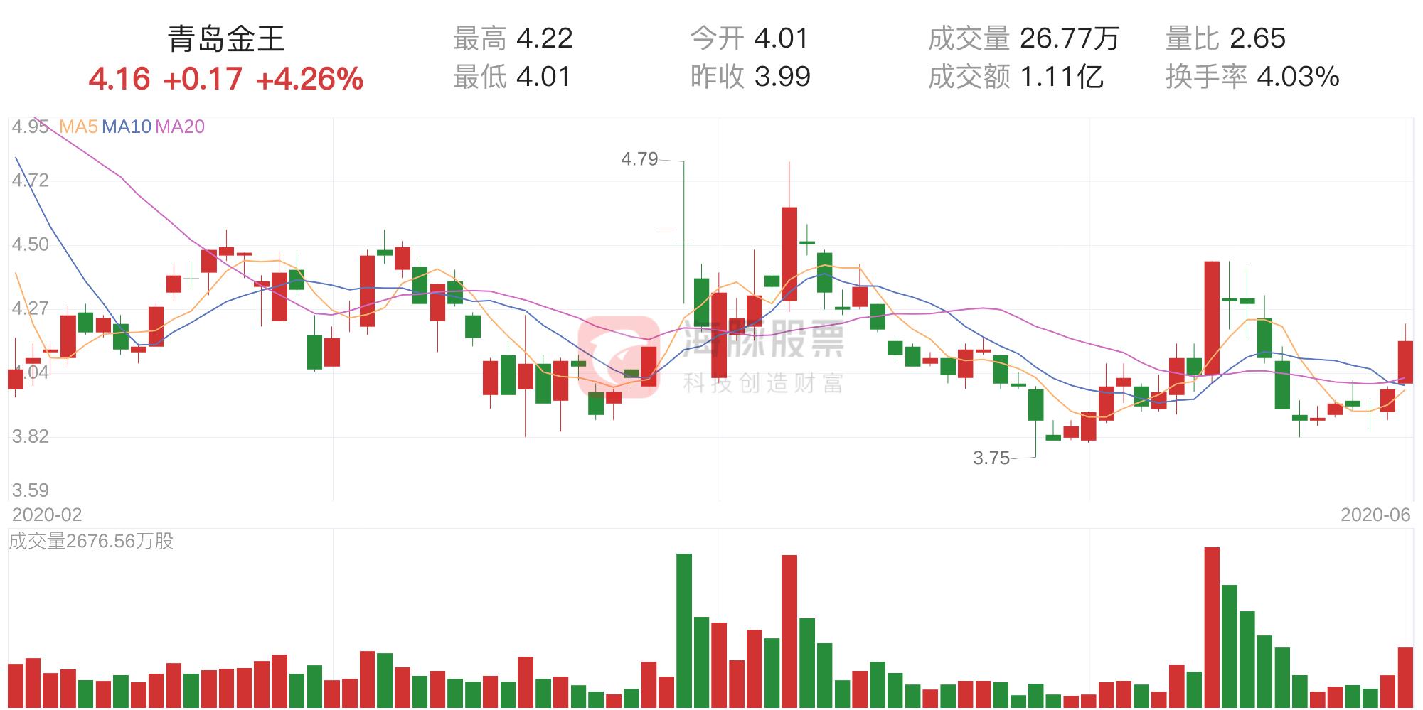 青岛金王集团，铸就辉煌成就，展望未来发展