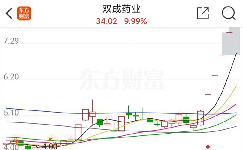 双成药业股份，医药产业先锋的探索、创新与发展之路