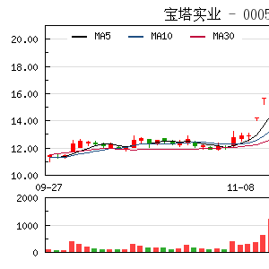 宝塔实业，核心业务与领域深度探究