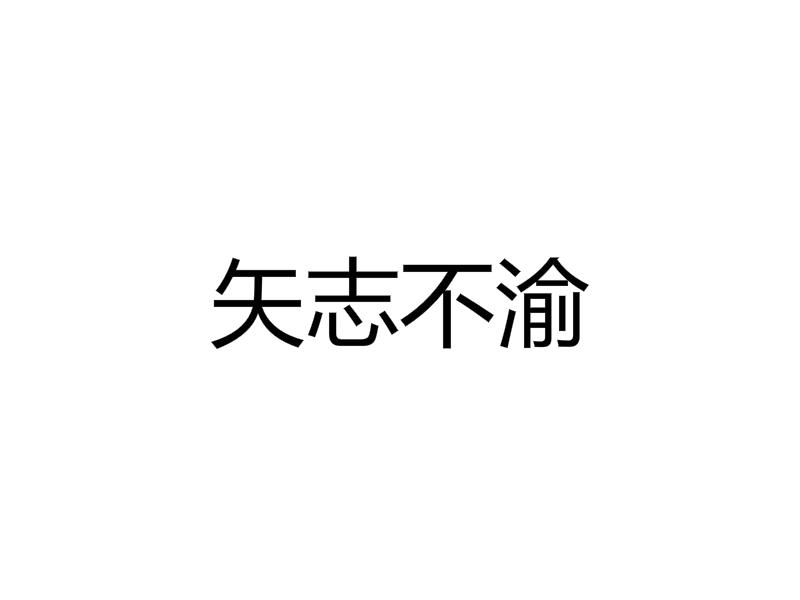 2024年12月25日 第12页