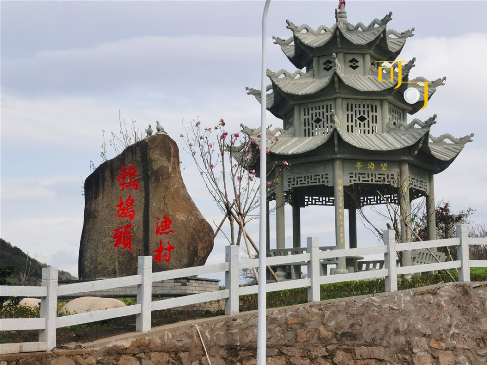 鹁鸪读音及知识介绍