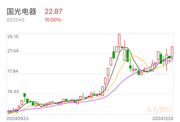 国光电器股票深度解析与发展展望