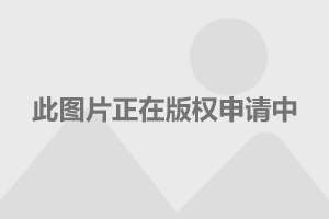 上海海底捞门店员工集体学习韩语，跨文化交流的卓越典范实践