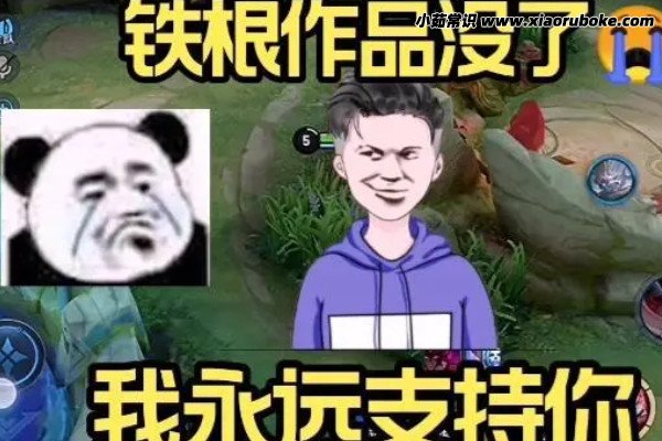 铁根与猴子的深厚友谊，跨越物种的奇妙故事