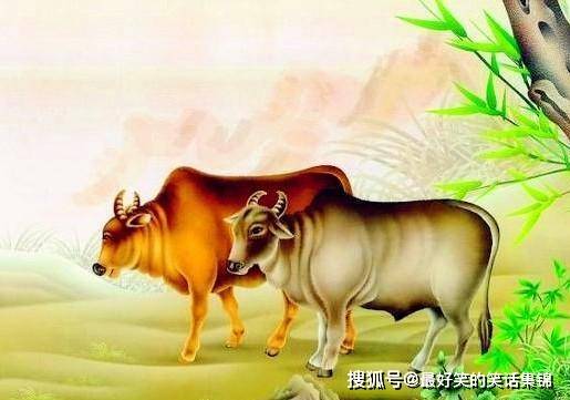 60后属牛的今年多大？年龄解析与特点探讨