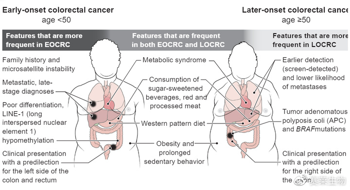 百万粉丝网红咖啡师患直肠癌离世，年轻人为何易患直肠癌？高危人群解析。