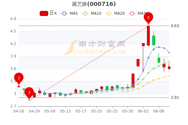 黑芝麻股票行情全面解析