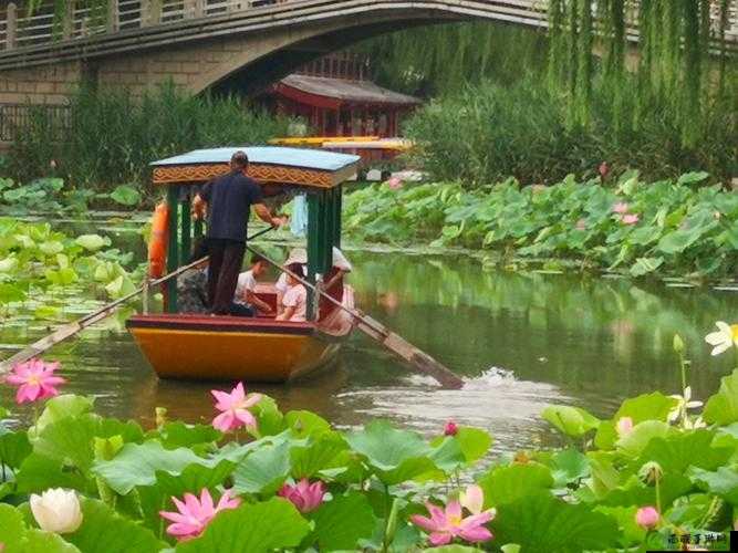 老人船上弄雨荷第13集剧情详解