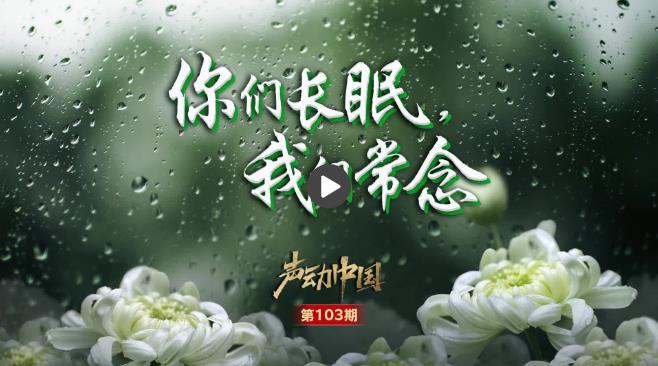 风雨洗礼中成长，人生的磨砺与自我超越之路