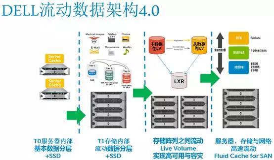 2024免费资料大全最新版本更新,高度精确数据分析_R版72.333