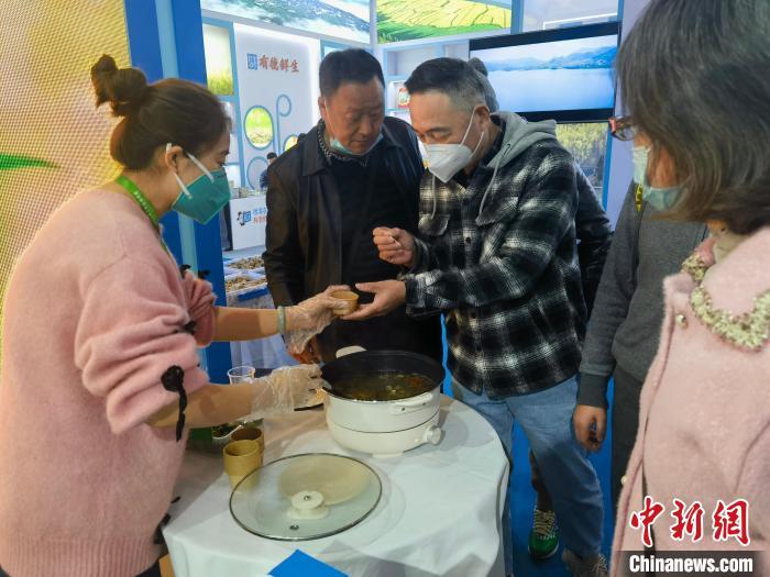 杭州高架桥下惊现骆驼，城市与自然的独特交汇点