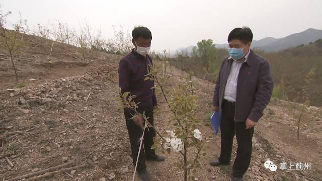 浙江某村庄举办分红大会，共享发展硕果，总额达267万元