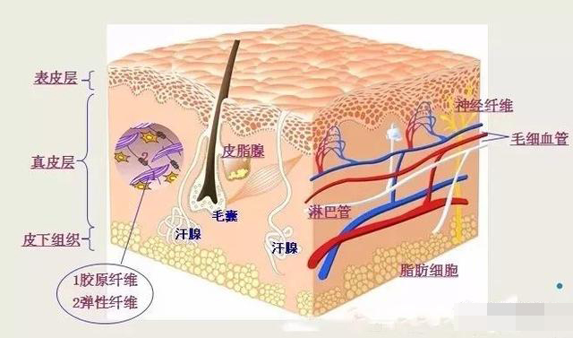 2025年1月9日 第35页