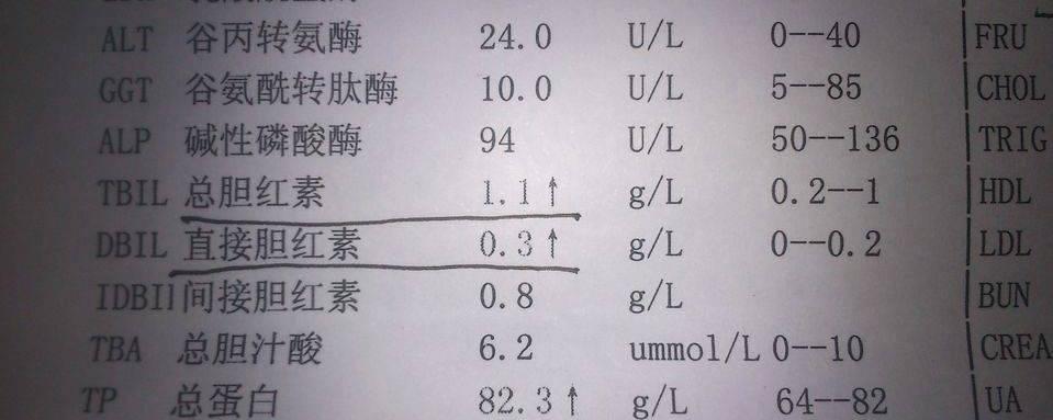 湖南总胆红素参考值及临床诊断中的重要性解析