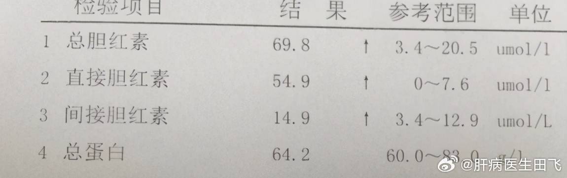 间接胆红素解读，数值背后的健康警示与正常标准探讨