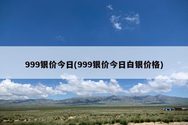 今日银价及9999纯银价格波动解析