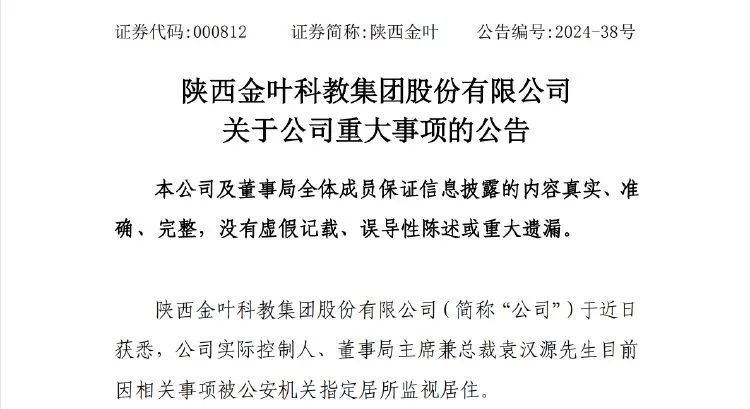 陕西金叶员工集体辞职事件，深度探究、反思与启示