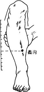 蠡沟的读音及含义解析