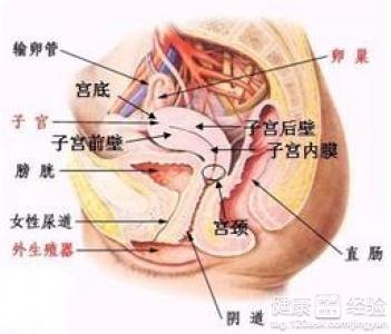 盆腔少量积液的治疗策略探讨